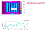 immagine termografica